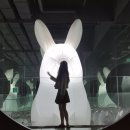 여수 우정여행 2박3일 코스 추천 (여행일지 기록)