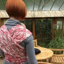 이숲한의원 이미지