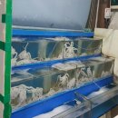 독천시장 이미지