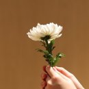 성주효요양병원 이미지