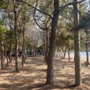 발포해수욕장 이미지