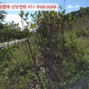 하개명마을회관 네이버블로그