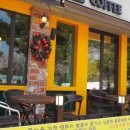 모다페카페 이미지