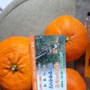 규리 농장 이미지