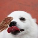 야이노마 네이버블로그