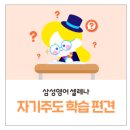 삼성 영어 이미지