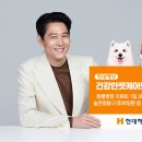 서울펫케어 이미지