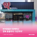 다인약국 이미지