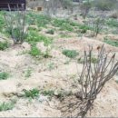 유현 축사 이미지