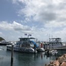 시드니 포트스테판 투어 옷차림 준비물 놀러와 시드니 내돈내산 후기