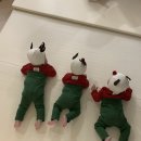 코코하니 네이버블로그