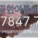 한아름여행사 이미지