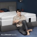 알레르망 이미지