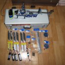 애니얼라인 이미지