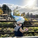 에버테크 | 전주 아이와 갈만한곳 전주동물원 단풍명소 유모차 나들이 후기