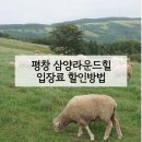 하늘바람별 | 대관령 삼양목장 입장료 카페 날씨 후기 | 양떼목장 삼양목장 하늘목장 비교