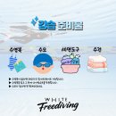 프리랑 | 창원 프리다이빙 강습 후기 내돈내산 아이다2 자격증 화이트프리다이빙