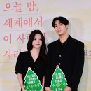 신시아 카카오 검색결과