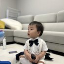 돌 민박 이미지