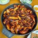 조가네갑오징어물왕호수점 | 조가네 갑오징어 물왕호수점 | 물왕저수지 맛집 주말 점심 가족나들이 점심식사 추천 후기