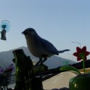 낙원민속촌 이미지