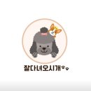 잘다녀오시개 이미지