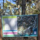 장산산림욕장 2호 이미지