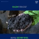 바다창고 이미지