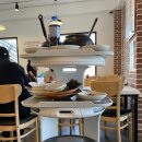 페트리코 이미지