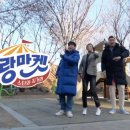 신이마켓