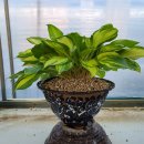 병환농장 이미지