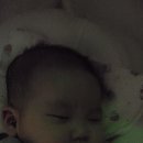 띠용 이미지
