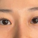 벨르뮤 강남역점 눈썹 속눈썹펌 연장 이미지