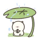 태화짜장보쌈
