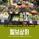 털보야채 이미지