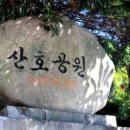 산호동247 이미지