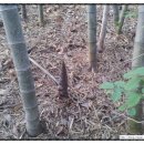 금별농장 이미지