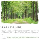 계곡힐링스카이