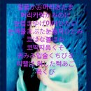 코메데코 이미지