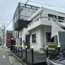 천제등로 | 부산 대연동 카페 ‘미도리’ 일본 가정집 느낌 내돈내산 솔직후기