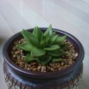 동운농장 이미지