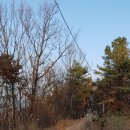 신산4리 이미지