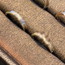 (주)오케이팜 | [웨딩반지] 종로 "동화주얼리" 내돈내산 웨딩링 계약 후기, 가성비 웨딩반지 찾는 꿀팁