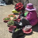 원조언양옛날곰탕 | 2일, 7일 언양오일장과 맛집 원조옛날곰탕