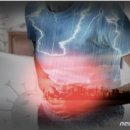 광주서초교 이미지