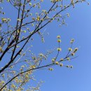 자연과함께지구를지키자B | [출산 기록]초초초 쫄보+엄살쟁이의 미래아이산부인과 제왕절개 후기,꼬망이 지구상륙!