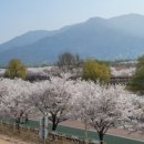 덕풍천동로 이미지