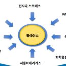 닥터모락합정점