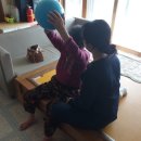 김제시 보건소 이미지