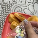 르셀약국